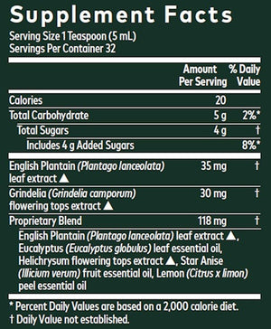 Bronchial Wellness Syrup Gaia Herbs