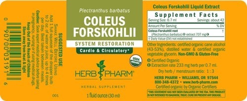 Coleus Forskohlii Herb Pharm