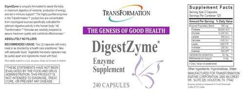 DigestZyme Transformation Enzyme