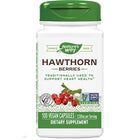 Hawthorn Berries Natures way