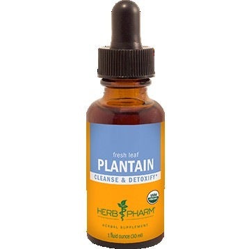 Plantain Herb Pharm