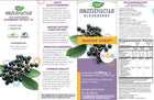 Sambucus for Kids Berry Flavored Natures way