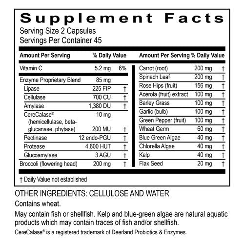 Super CellZyme Transformation Enzyme