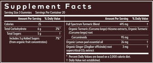 Turmeric Sup Extra Strength Gaia Herbs