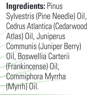 Woodland Walk Oil Blend NOW