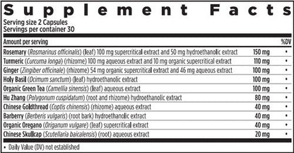 Ingredients of Zyflamend dietary supplement - rosemary, turmeric, ginger, holy basil